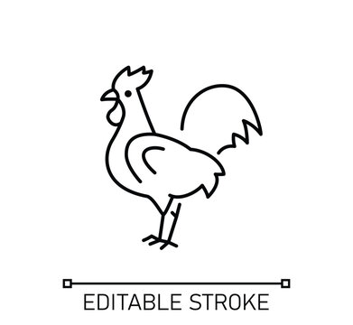 Rooster icon line isolated on white background