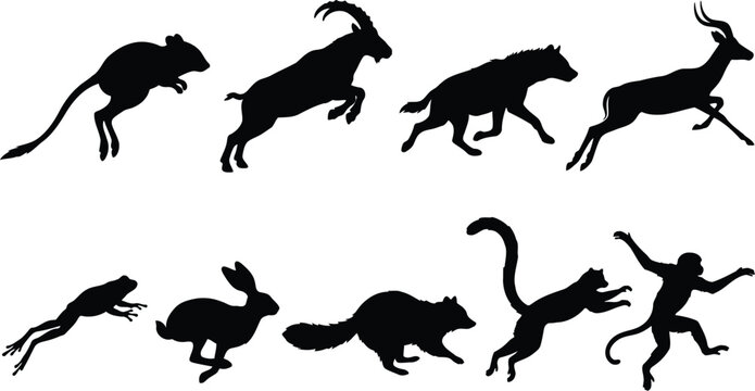 Set of wild animal silhouettes jumping and running in action poses showing various wildlife species including monkey frog rabbit and antelope in black ink style