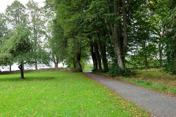 Obraz premium Park