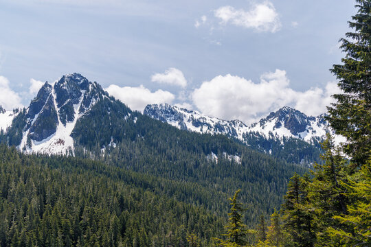 Majestic Mount Rainier rising above forests and river in the national park