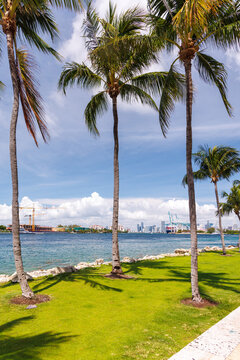 Modern skyline of Miami with towering skyscrapers, tropical vibe, and waterfront views