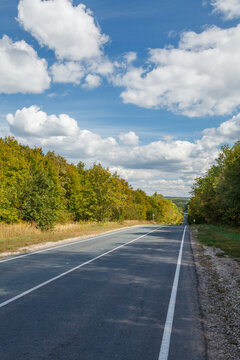 Country asphalt road in summer landscape