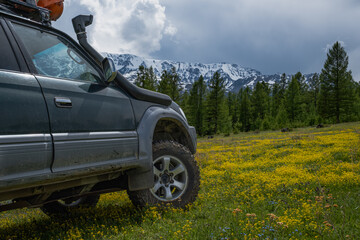 Low angle side view of an off-road 4x4 suv car parked on a green meadow covered with yellow wild flowers against snowy mountains, overlanding concept © ANDREY