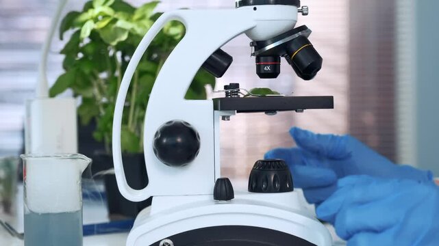 A scientist wearing blue gloves and a white lab coat carefully places a green plant leaf on a white microscope stage in an indoor laboratory setting surrounded by glass containers and plants.