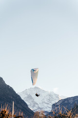 Colorful paraglider soaring above snow capped mountains under a clear blue sky. Scenic alpine landscape creates a powerful adventure and freedom concept perfect for travel and extreme sport themes. © Христя Сидор