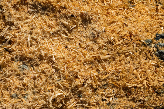 Wood shavings and sawdust texture background