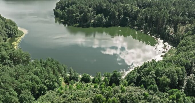 Drone shot of secluded lake amid lush green Polish forest.