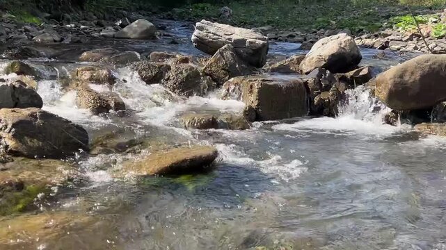 A mountain stream flows over rocks and small rapids in a forested Carpathian landscape.