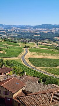 Les vignobles du Val d'Oingt vues depuis la Tour d'Oingt, village fleuron du Pays des Pierres Dor&eacute;es (Beaujolais)