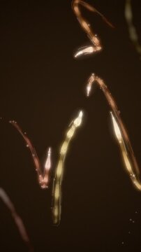 Athletic Motion Trails Sweeping Light Streaks with Strobe Afterimages Seamless Loop in rich orange tones vertical 9:16
