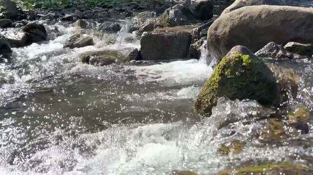 A mountain stream flows over rocks and small rapids in a forested Carpathian landscape.