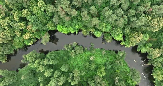 Flying over kayakers on a wild summer river in Poland.