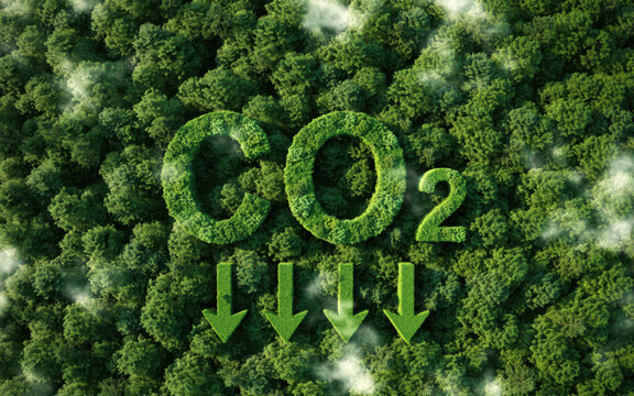Carbon reduction concept, CO2 letters in green forest, climate change