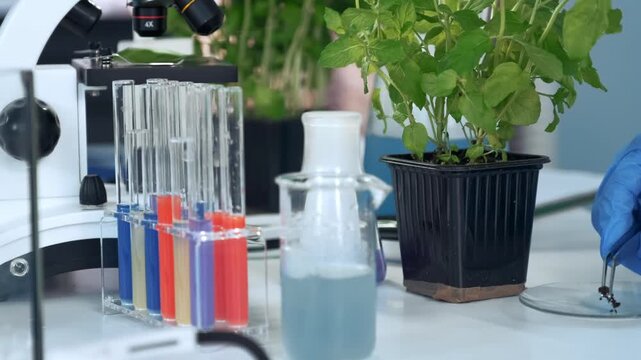 A scientist wearing blue gloves uses metal pincers to collect a soil sample on a petri dish in a brightly lit laboratory with microscope, test tubes, and a potted plant.