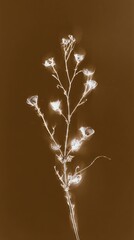 Obraz premium Sepia-toned floral silhouette, perfect for an elegant mobile wallpaper.