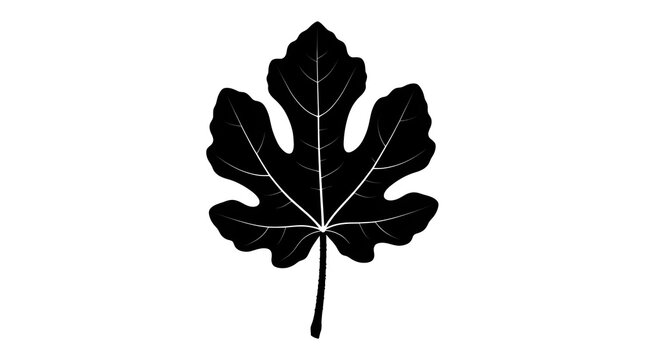 Black silhouette of a fig leaf isolated on a white background. Perfect for nature, botanical, and organic design themes.