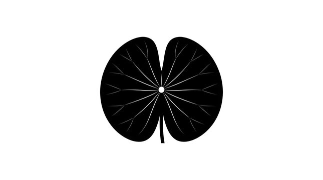 Minimalist black silhouette of a bilobed or kidney-shaped leaf, isolated on a white background. Great for tropical or botanical illustrations.