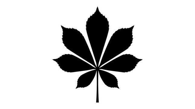 Black silhouette of a horse chestnut leaf with seven leaflets, isolated on white. Ideal for autumn, nature, and botanical graphic designs.