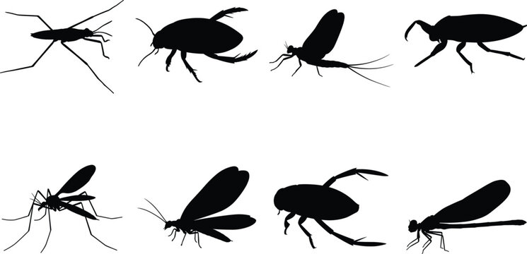 Set of black silhouettes of water bugs and aquatic insects including water boatman and dragonfly