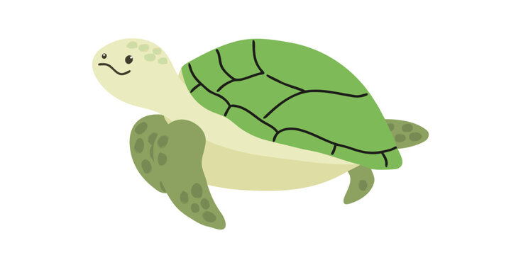 Green sea turtle illustration with a simple flat vector style