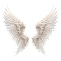 Obraz premium Illustration of detailed, symmetrical white angel wings on a white background.