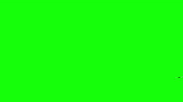 Black cat playing with green laser pointer dot on bright green studio background