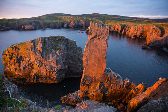 Newfoundland