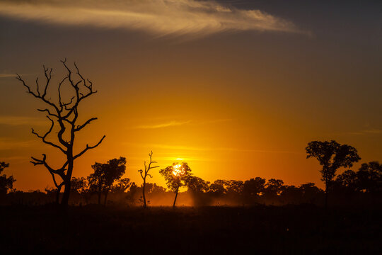 Rural landscapes in Brazil