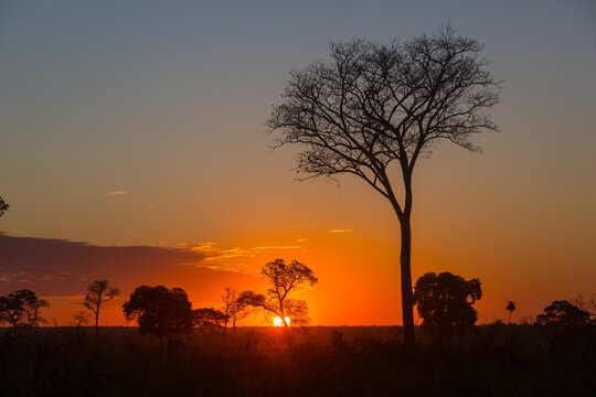 Rural landscapes in Brazil