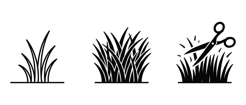 sequence showing grass growth and trimming with scissors for gardening and landscaping concepts