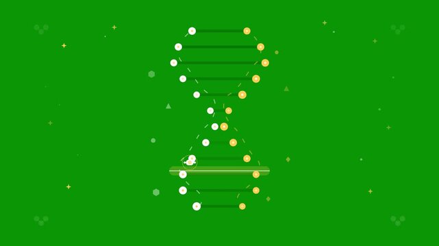 Animated dna helix scan on green screen, scientific research and genetics concept science biology