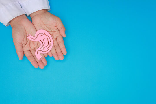 Doctor holding paper stomach model with gentle care and support for digestive health awareness education on blue background