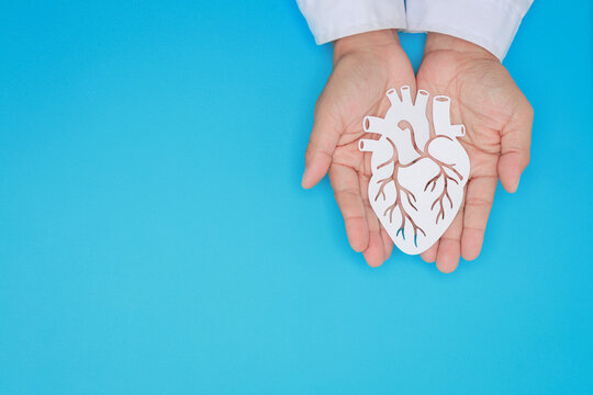Doctor hands holding paper heart shape with caring emotion to promote cardiac health awareness against blue background