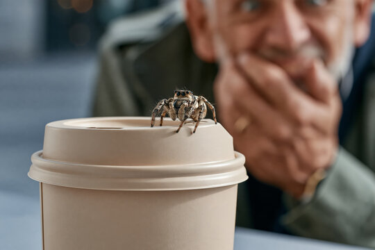 Spider on coffee cup lid with startled man reacting in background.