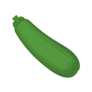 Fresh green zucchini vegetable icon illustrated in a simple flat vector style isolated on transparent background, Vector