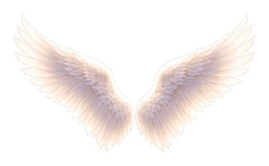 Obraz premium PNG Heavenly angel wings in radiant sky