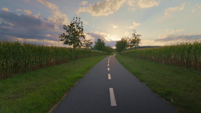Forward motion along a straight road bordered by trees and cornfields.
Sunset light creates a peaceful rural landscape.