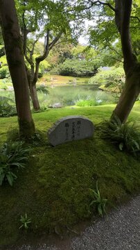 A STEADY SHOT FROM NITOBE MEMORIAL GARDEN