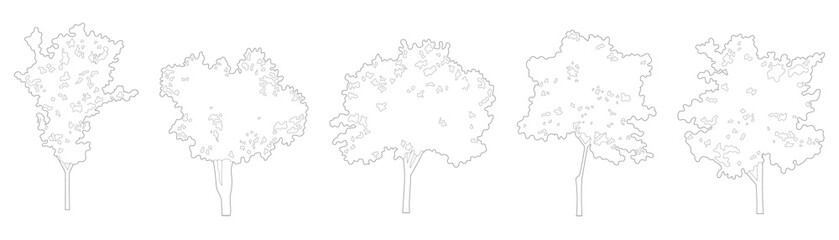 Architectural tree elevation collection with diverse broadleaf canopy side view outlines and clean line graphics for landscape CAD diagrams and urban rendering. © SRTember