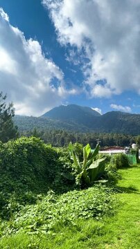 Undeveloped land with wild vegetation at foot of El Cacique Hill, Zit&aacute;cuaro, Michoac&aacute;n