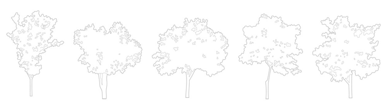 Architectural tree elevation collection with diverse broadleaf canopy side view outlines and clean line graphics for landscape CAD diagrams and urban rendering.