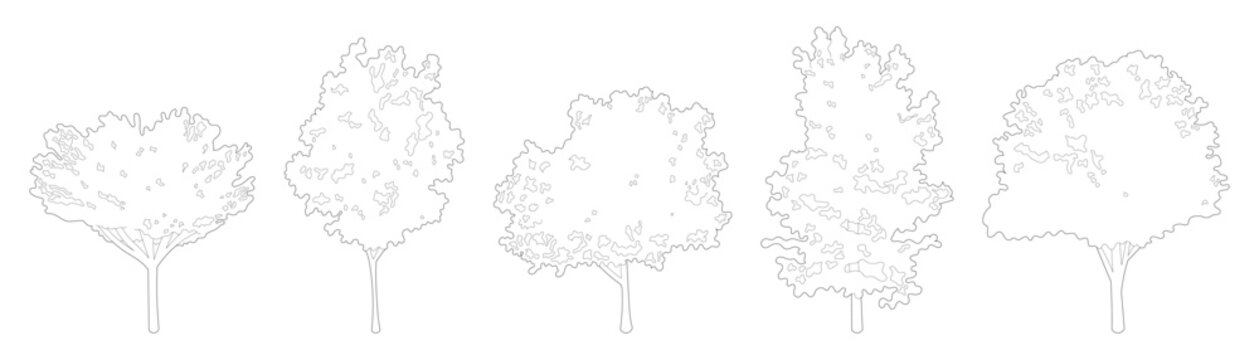 Isometric tree line drawing set featuring detailed foliage crowns, slender trunks and branch line art elements for architectural entourage and CAD elevation project design.