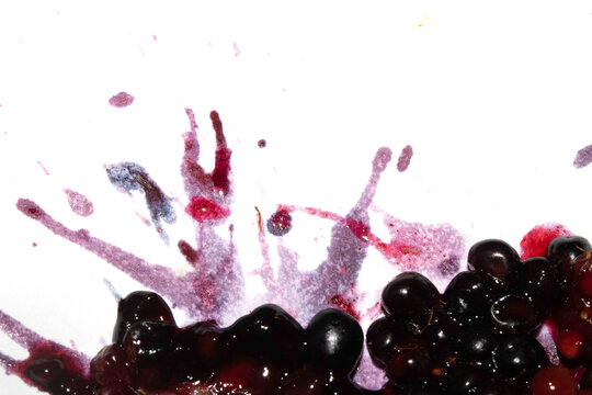 Squashed exploding and crushed blackberries fruit berries splattered on a white background with juice
