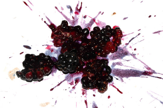 Squashed exploding and crushed blackberries fruit berries splattered on a white background with juice