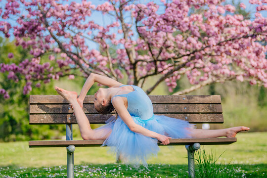 Ballet white dancer stretching backward on bench with cherry blossoms