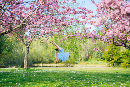 Ballet white dancer jumping in blue tutu among blossoming cherry trees