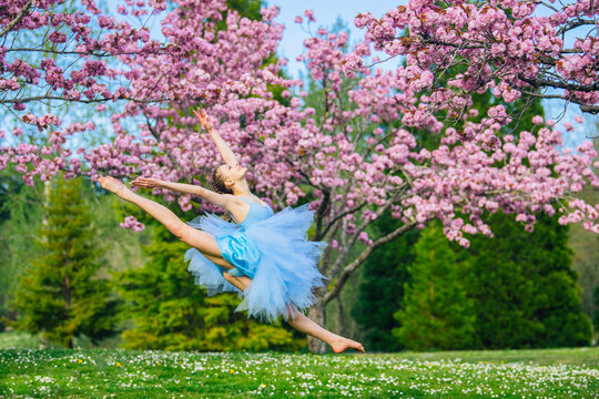 Ballerina leaping near cherry blossoms in spring outdoors USA