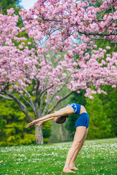 White woman practicing yoga backbend outdoors by pink blossom tree
