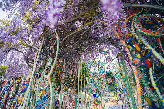 Wisteria vine over mosaic arch in outdoor garden setting