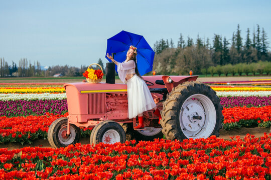 White woman with blue umbrella on pink tractor in tulip field